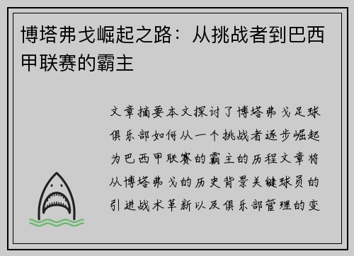 博塔弗戈崛起之路：从挑战者到巴西甲联赛的霸主