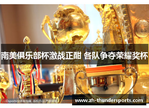 南美俱乐部杯激战正酣 各队争夺荣耀奖杯